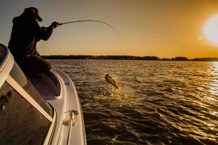 Fishing